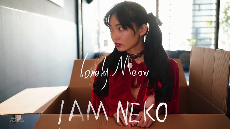 56OB5Yqb77yaUOermee9kee6oumikemBk+S9oOeahOekvOeJqeivt+afpeaUti3pq5jmuIU0UOeyvuW9qeaOqOiNkFtNUDQvNTUwTUJd