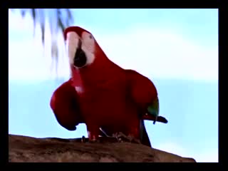 5rm/5ZKM54uC6YeOOOiHquS4i+iAjOS4ikhELVdFVCBBTkQgV0lMRCA4IEJPVFRPTVMgVVAgSEQ=