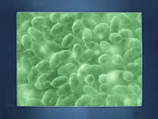 KDE456aB44Ki44OL44OhKSAo5peg5L+u5q2jKSDlpbPni7zni4Lmv6Eg5aaE542j56+HIChEVkQgOTYweDcyMCB4MjY0IEFBQyk=