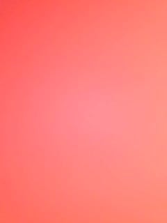 6KO56IO4IGtpdHR56L+e5L2T6L+H6Iad6KKcX1RyaW0=