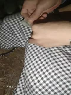 W+WOn+eJiF3ni4Lph47nmoTlsI/ph47njKs8ZW0+XzwvZW0+6YeO5oiY5ZWq5ZWqPGVtPl88L2VtPjIwMjEwMjI2