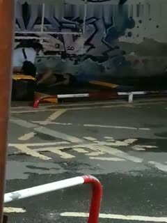 5pyA5paw6Zeo5LqL5Lu25bim552A6KGM5p2O566x55qE5ri45a6i6KKr5Liq6KGj552A5oCn5oSf55qE5bCP5aeQ5bim5Yiw6Lev6L655YGc6L2m5L2N5peB5r+A5oOF6KKr5Lq65ouN5LiL5Zu96K+t5a+555m9