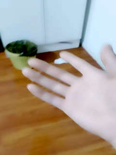 57qm54Ku6Imv5a625aaH5aWzXw==