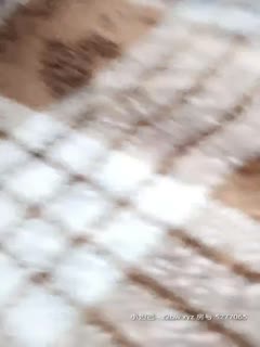 5bm06L275bCP5oOF5L6jPGVtPl88L2VtPuWVquWVqjxlbT5fPC9lbT4yMDIxMDIwOQ==