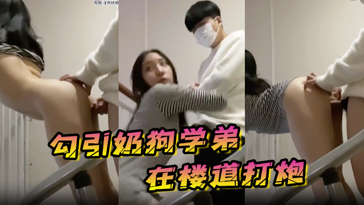 PGVtPuWLvuW8lTwvZW0+5aW254uX5a2m5byf5Zyo5qW86YGT5omT54Ku