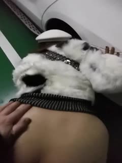 5YGc6L2m5Zy65ZCO5YWl5aa55a2Q6aqa6YC8