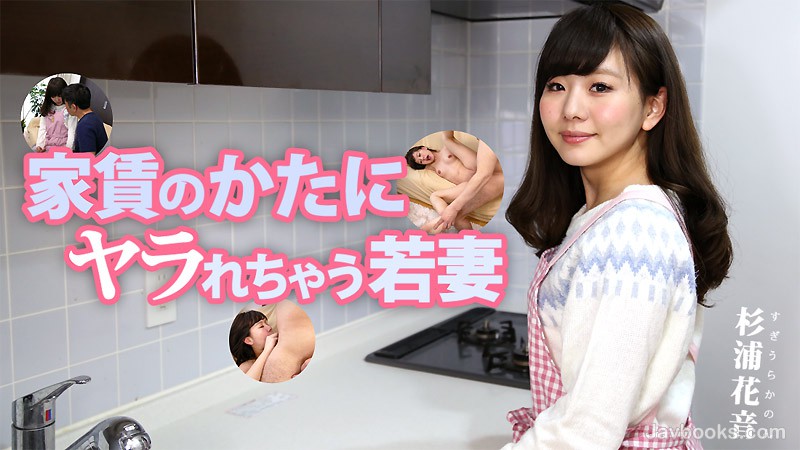 SEVZWk8tMTYyNyzjgJDno4HlipvjgJHlrrbos4M8ZW0+44Gu44GLPC9lbT7jgZ/jgavjg6Tjg6njgozjgaHjgoPjgYboi6Xlprss57Sg5Lq6KOe0oOS6uik=