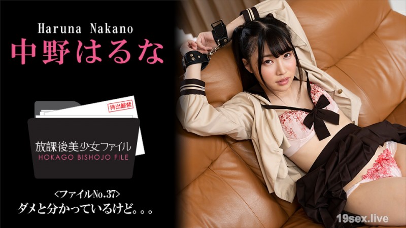 MDgxNTI0XzAwMSzjgJDno4HlipvjgJHmlL7oqrLlvoznvo7lsJHlpbPjg5XjgqHjgqTjg6sgTm8uMzcgfuODgOODoeOBqOWIhuOBi+OBo+OBpuOBhOOCi+OBkeOBqeOAguOAguOAgn4s57Sg5Lq6KOe0oOS6uik=